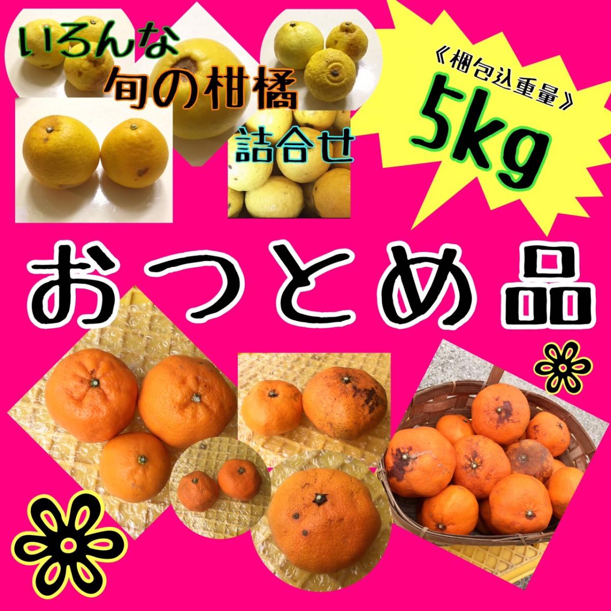 【四国 九州 本州のお客様用】【おつとめ品】数品種 おみかん 詰合せ【おつとめ品】サムネイル