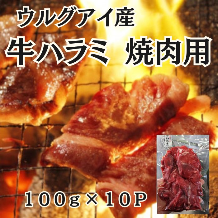 【高品質】グラスフェッドビーフ【牛ハラミ】焼き肉用 1kg(100g×10パック)サムネイル
