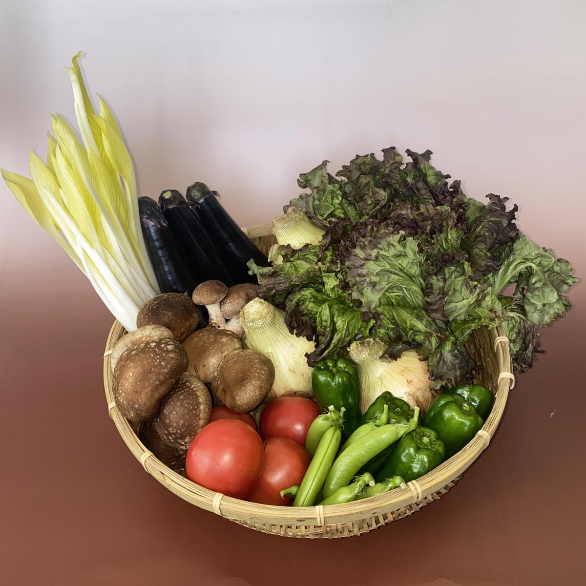 旬のやさい厳選セット(8種類)【送料無料】サムネイル