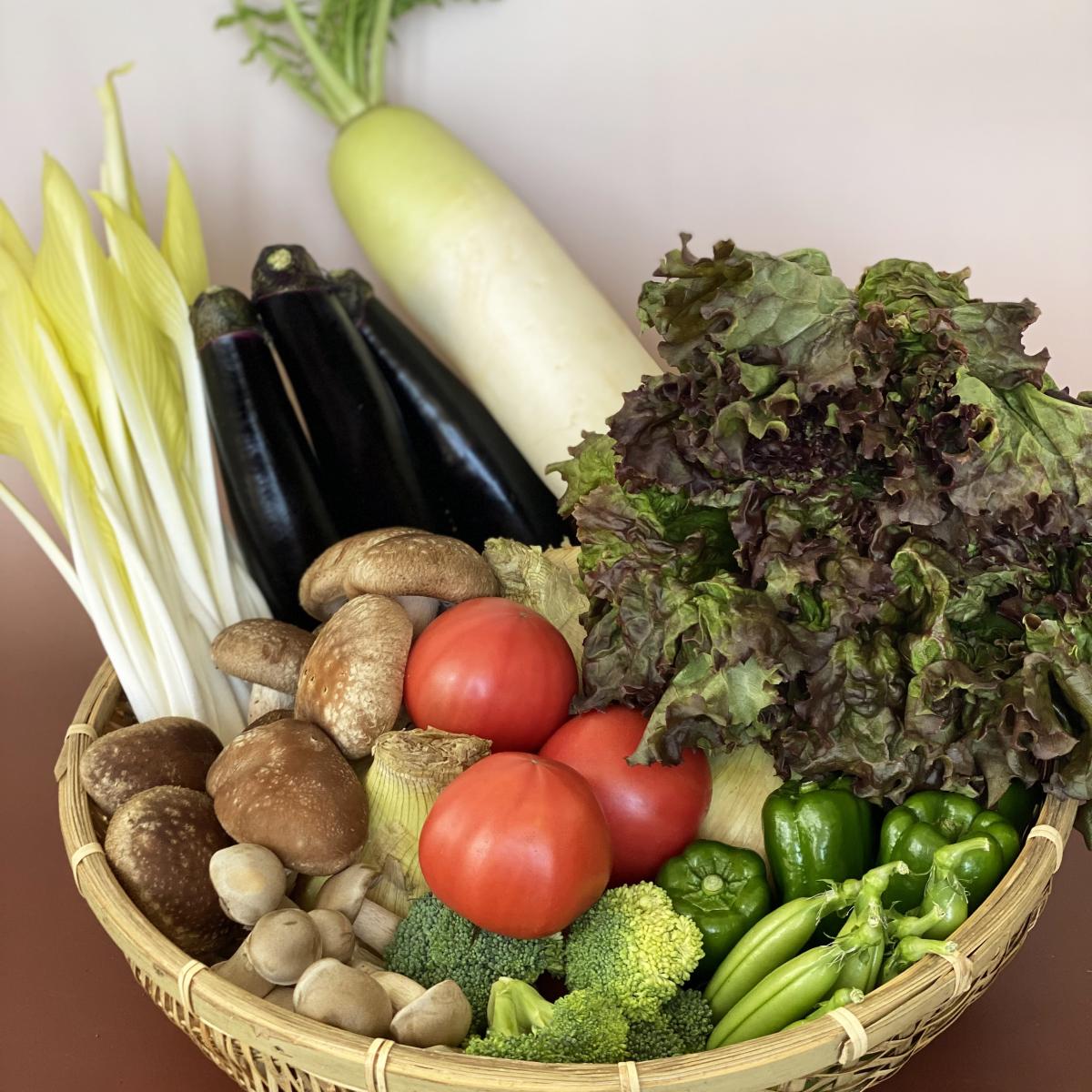 旬のやさい厳選セット(11種類)【送料無料】サムネイル