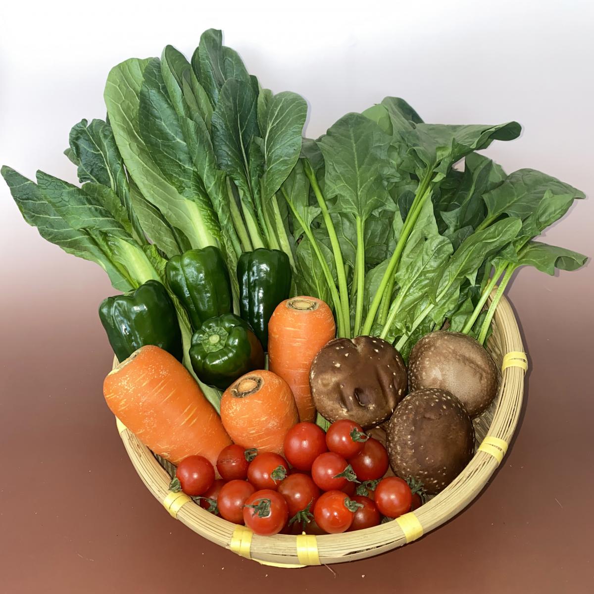 オーガニックやさいセット(6種類)【送料無料】サムネイル