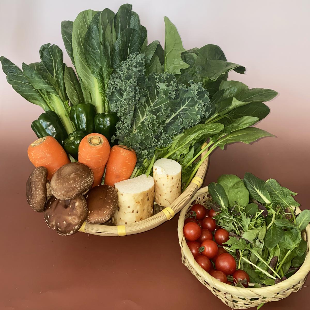 オーガニックやさいセット(9種類)【送料無料】サムネイル