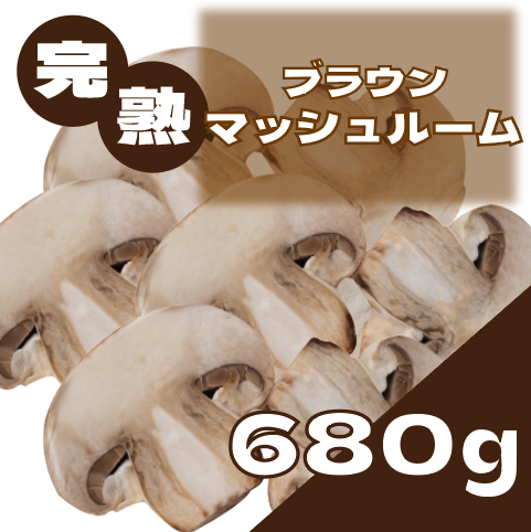 【高級ブラウンマッシュルーム】サムネイル