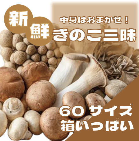 【何が入るかはお楽しみ!こだわりの鮮度抜群きのこ三昧!】サムネイル