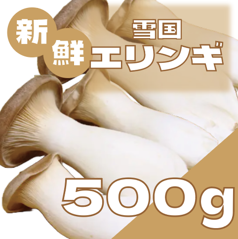 【ぷりっぷり食感!たっぷりエリンギ】サムネイル