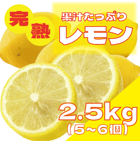 【爽やかな酸み!フレッシュもぎたてレモン】サムネイル