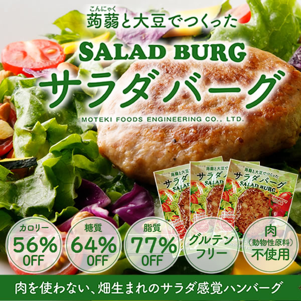 【10個】からだ想いのサラダバーグ/カロリー56%OFF!サムネイル