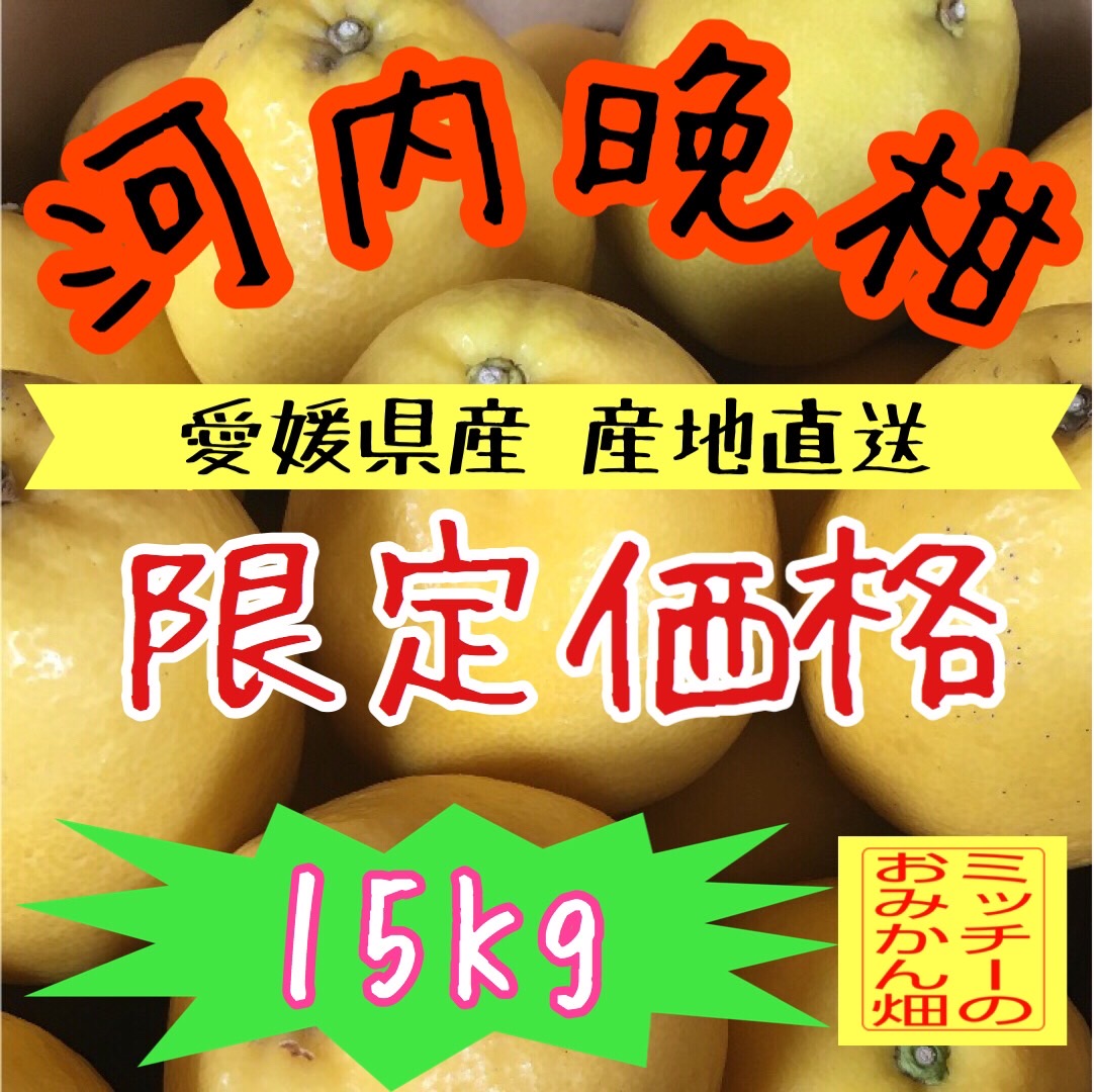 【四国 九州 本州のお客様用】河内晩柑(別名:愛南ゴールド/えひめ県産)【訳あり】サムネイル
