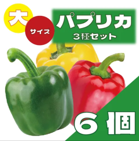 【お買い得国産パプリカ!!6玉入り!】豊洲市場発!サムネイル