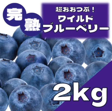 【冷凍ワイルドブルーベリー!希少なワイルドブルーベリー!】サムネイル