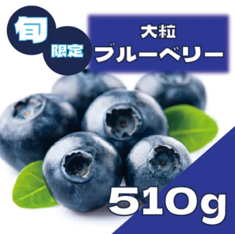 【大人気ブルーベリー!期間限定!たっぷり入ってお買い得!】サムネイル