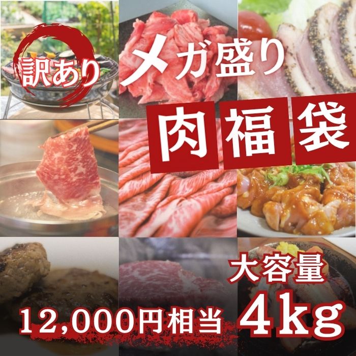 4kg5品以上【メガ盛り肉福袋】12,000円相当「送料無料」(牛すじ・ホルモン・ロース・地鶏等々)サムネイル