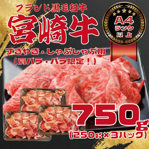 【利益度返し!精肉取り扱い開始記念限定価格!!内閣総理大臣賞4連覇受賞　黒毛和牛!宮崎牛!スライス!サムネイル