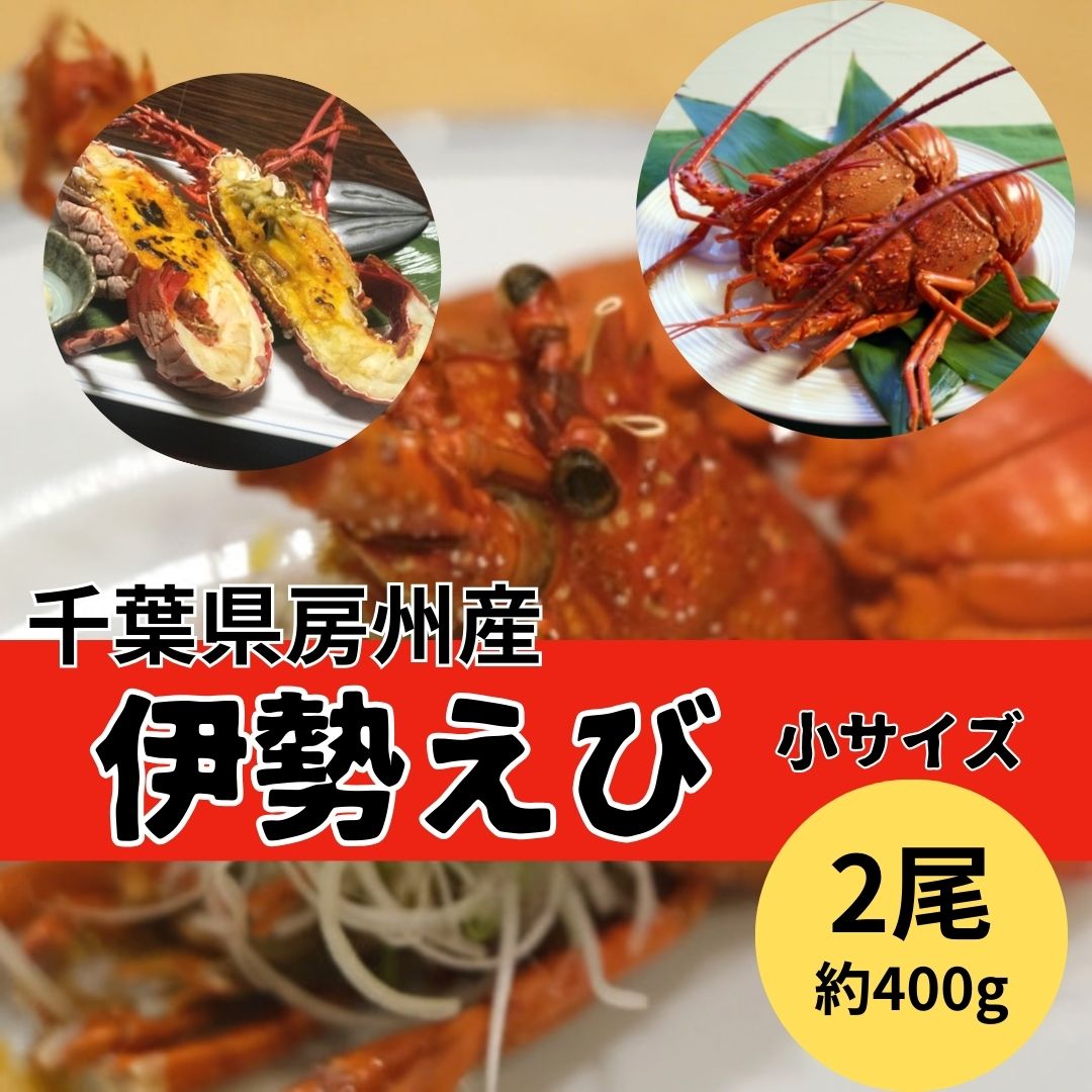 千葉房州産　伊勢海老　 2尾   活締め急速凍結(約18cm)サムネイル