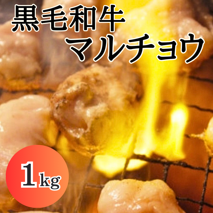 黒毛和牛 極太 マルチョウ 1kg 国産 ホルモン 丸腸 焼肉 BBQ ホルモン焼きサムネイル