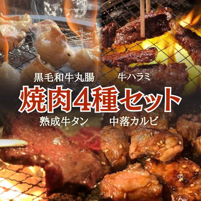 焼肉4種セット 黒毛和牛極上マルチョウ 牛ハラミ 牛中落カルビ 熟成牛タン 計700gサムネイル