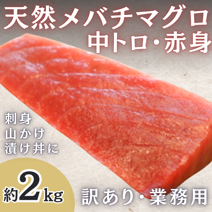 天然まぐろ(中トロ&赤身)約2kg(形・大きさ不揃い)サムネイル