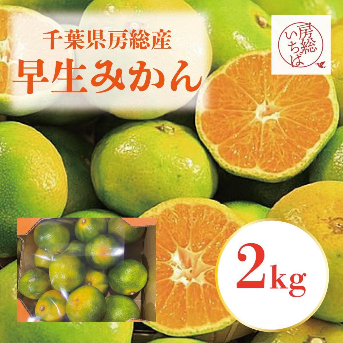 【今だけ限定!千葉県房総産　早生みかん!2㎏!】程よい甘みと爽やかなさっぱりした酸味サムネイル