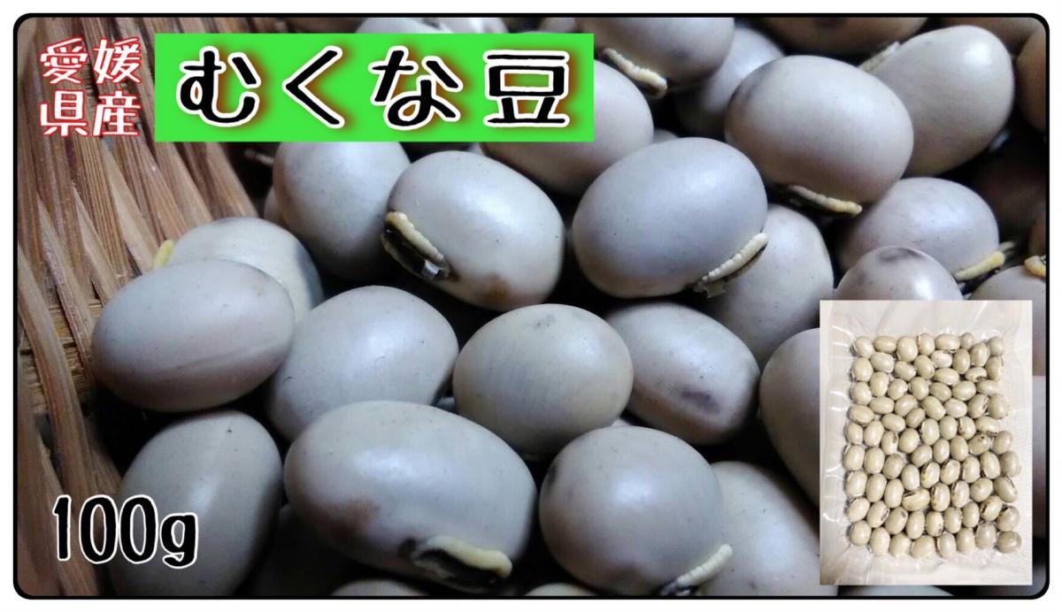 【☆全国共通価格☆】むくなまめ八升豆ムクナマメ野菜やさい豆類≪《豆のまんま》ムクナ豆≫えひめ愛南町産サムネイル