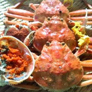 越前ガニ/セイコガニ(訳あり)福井県産　浜ゆで冷凍　6杯(小サイズ)サムネイル