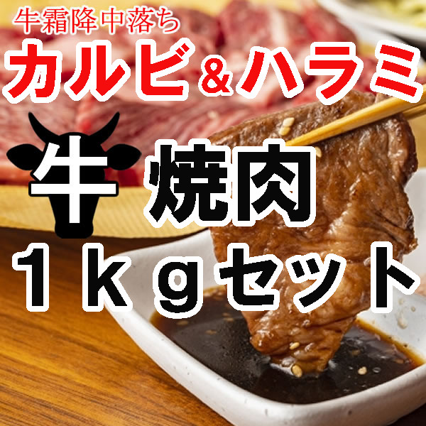 【焼肉1kgセット】牛霜降中落ちカルビ500g&牛ハラミ500gサムネイル